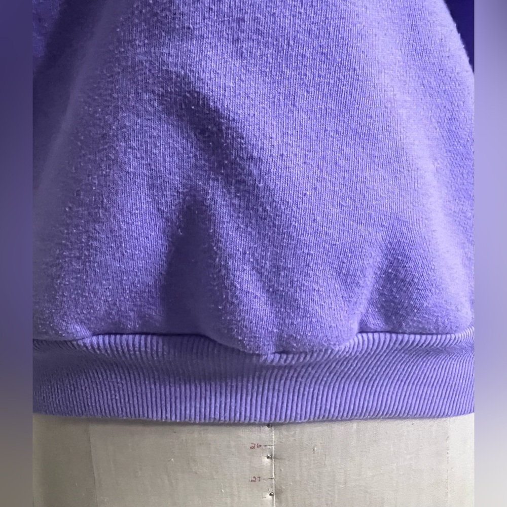 Kellogg's Sweatshirt Purple Fruit Loops Long Sleeve Hoodie Size Medium - Picture 6 of 9